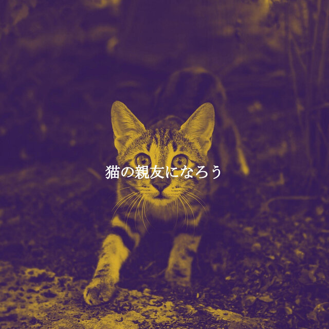 猫の親友になろう