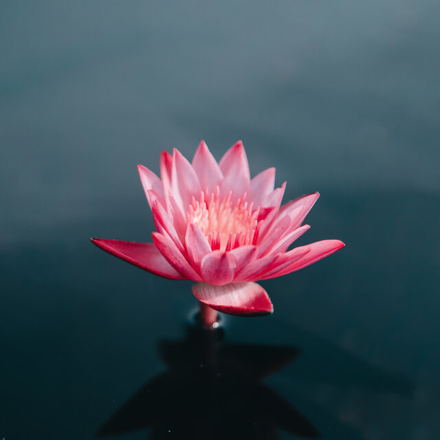Morning Meditation