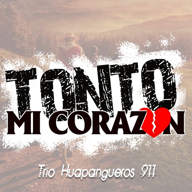Tonto Mi Corazón