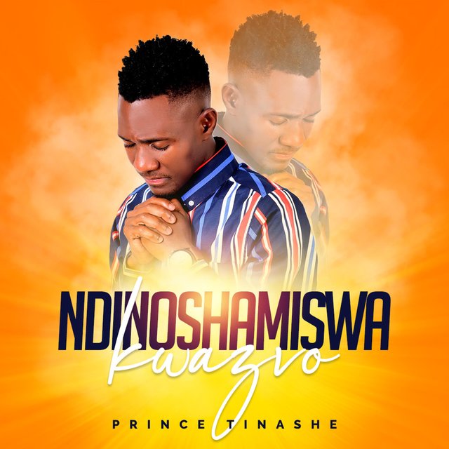 Ndinoshamiswa Kwazvo