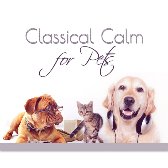 Classical Calm for Pets – Therapy Dogs with Classical Music, Relaxation for Your Animal Companion