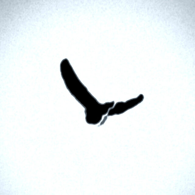 birds (I‘ll try to fly)