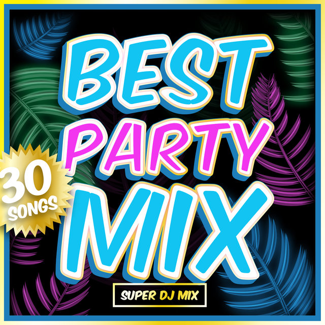 BEST PARTY MIX - SUPER DJ MIX -