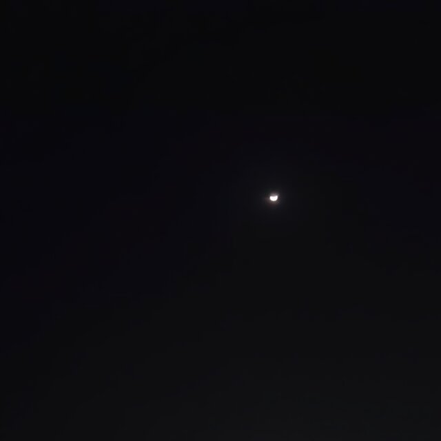 ainda sigo te esperando na luz do luar