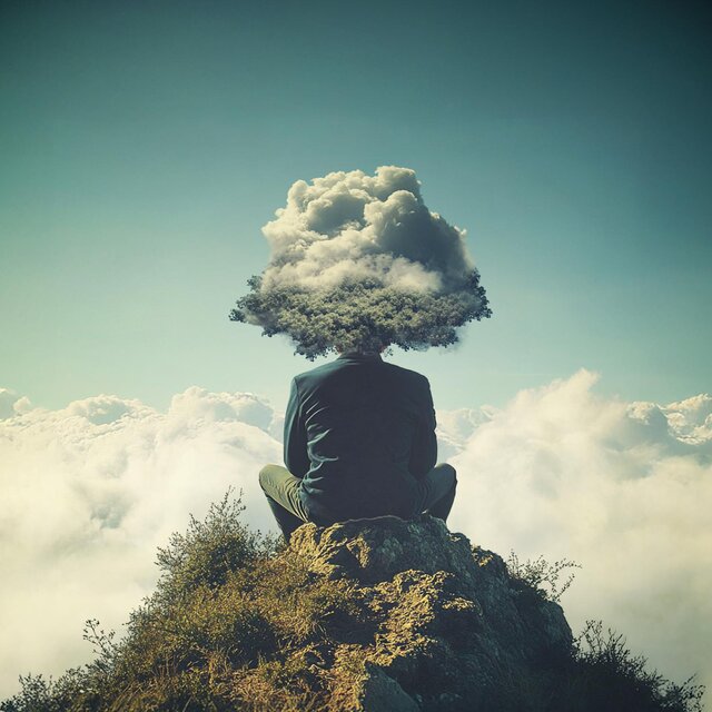 Beginner Mind Shoshin Contemplation