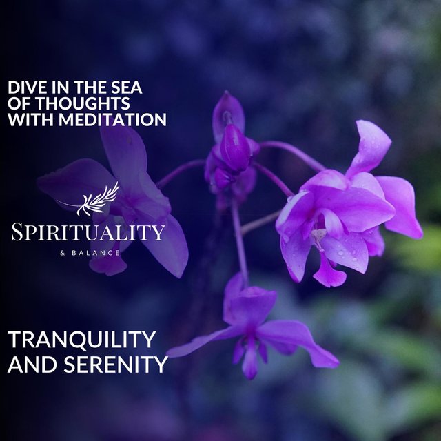 Dive In The Sea Of Thoughts With Meditation - Tranquility And Serenity