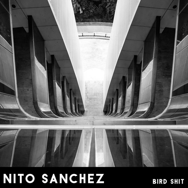 Bird Shit