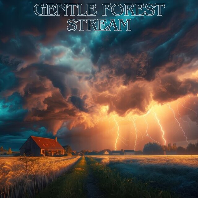 Gentle Forest Stream