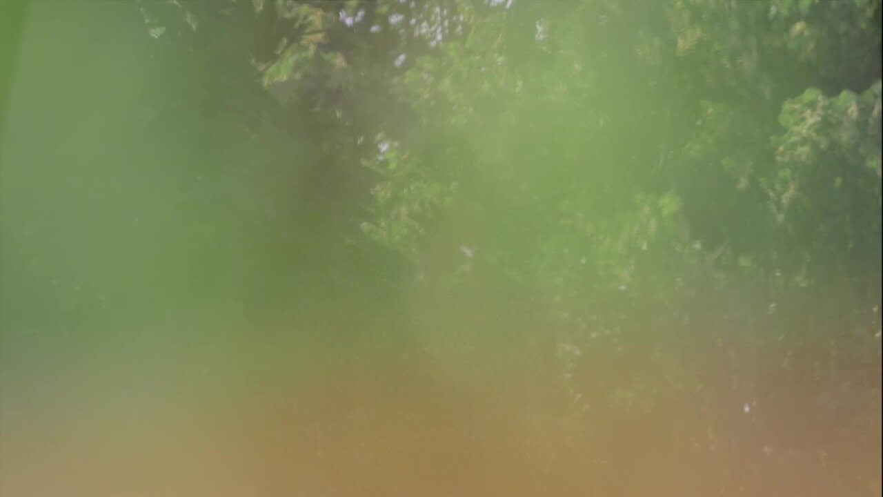 Clean (Lyric Video)