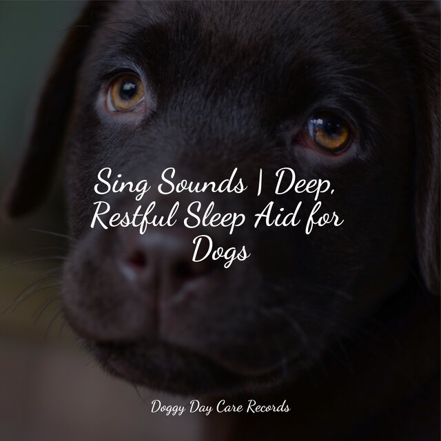 Sing Sounds | Deep, Restful Sleep Aid for Dogs