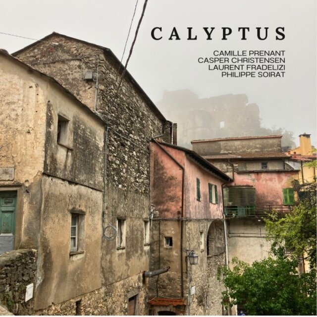 Calyptus