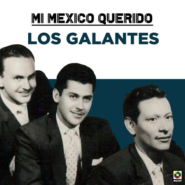 Mi Mexico Querido