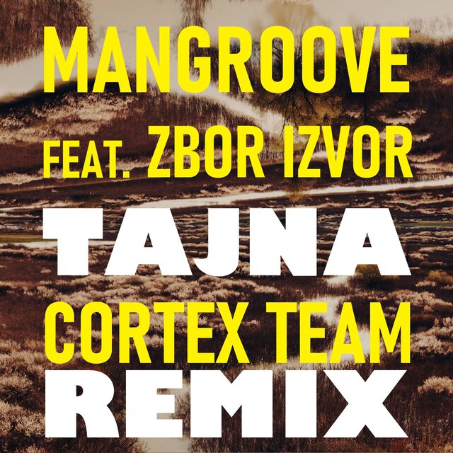 Tajna (Cortex Team Remix)