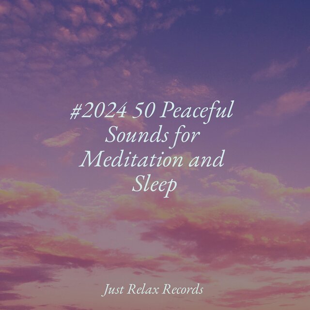 #2024 50 Peaceful Sounds for Meditation and Sleep
