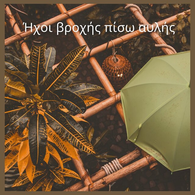 Ήχοι βροχής πίσω αυλής
