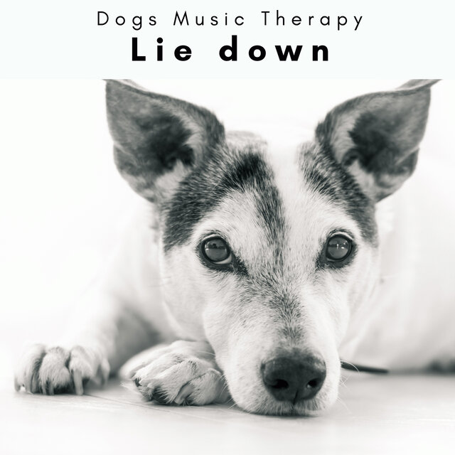 4 D: Lie down