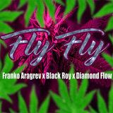 Fly Fly