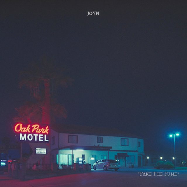 Fake the Funk