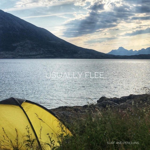 Cover art for album some colours by surf and penguins