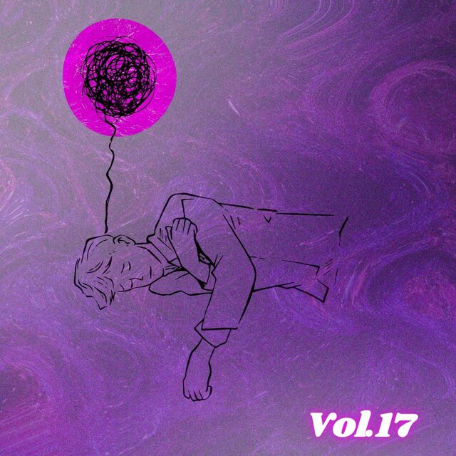 CANCIONES A MI ESTILO, Vol. 17