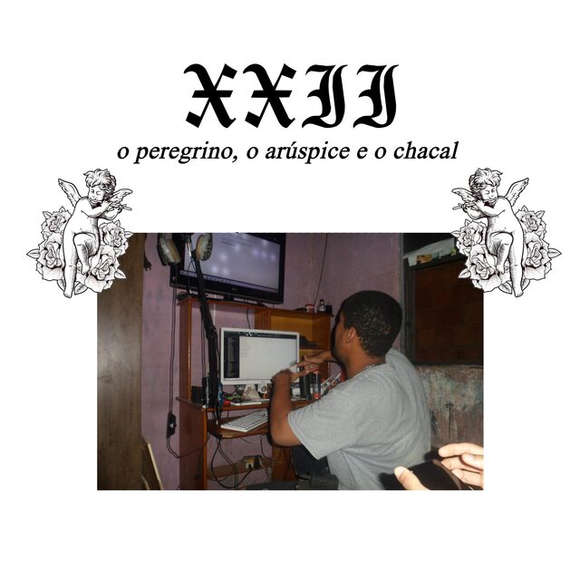 XXII - o peregrino, o arúspice e o chacal