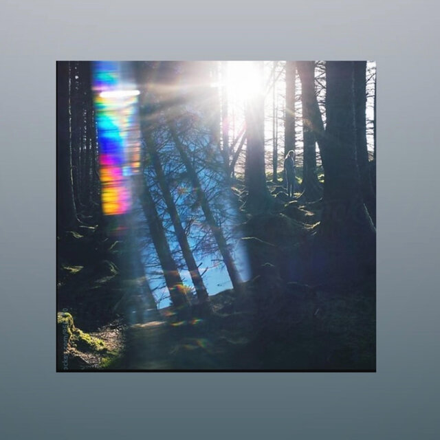 Reverie