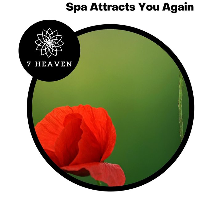 Spa Attracts You Again