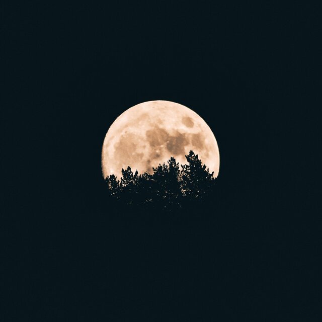 Sleeping In The Moon