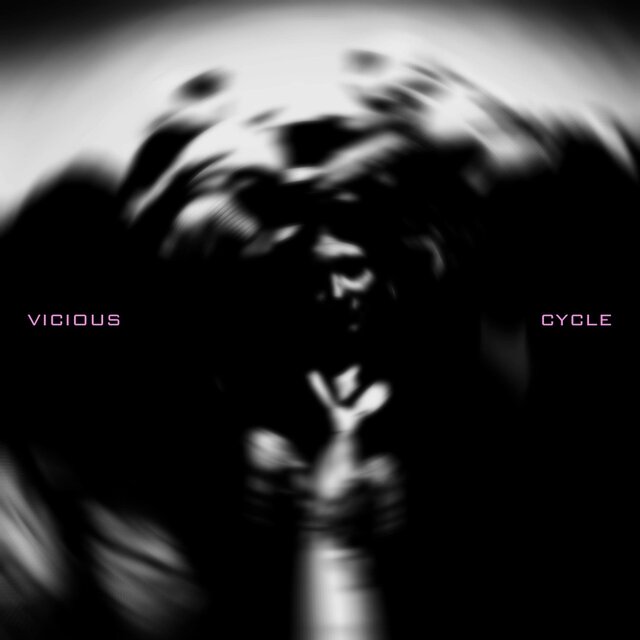 VICIOUS CYCLE