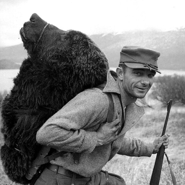 Bear Rounds