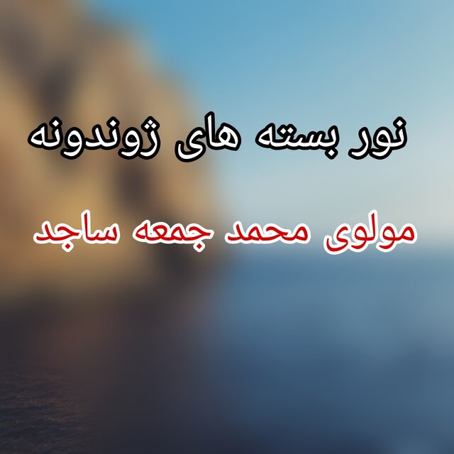 نور بسته های ژوندونه