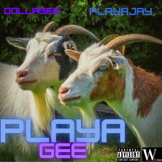 PLAYAGEE
