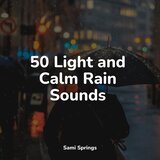 Sidewalk Rain