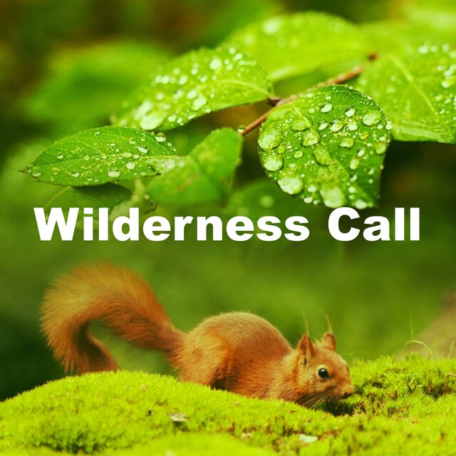 Wilderness Call