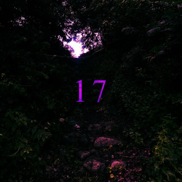 17