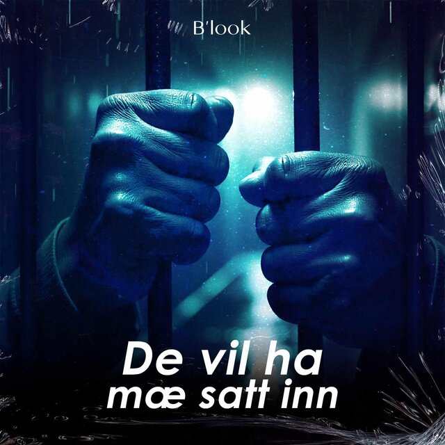 De vil ha mæ satt inn