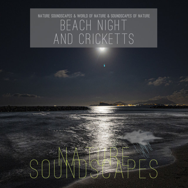 Beach Night and Cricketts