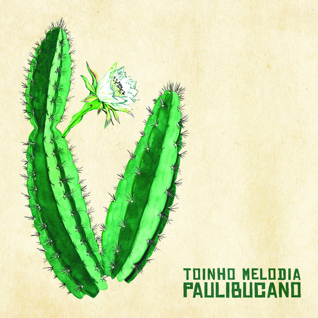 Paulibucano