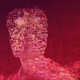 Cover art for album Voices by Max Richter