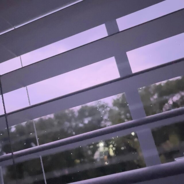 Window Pain
