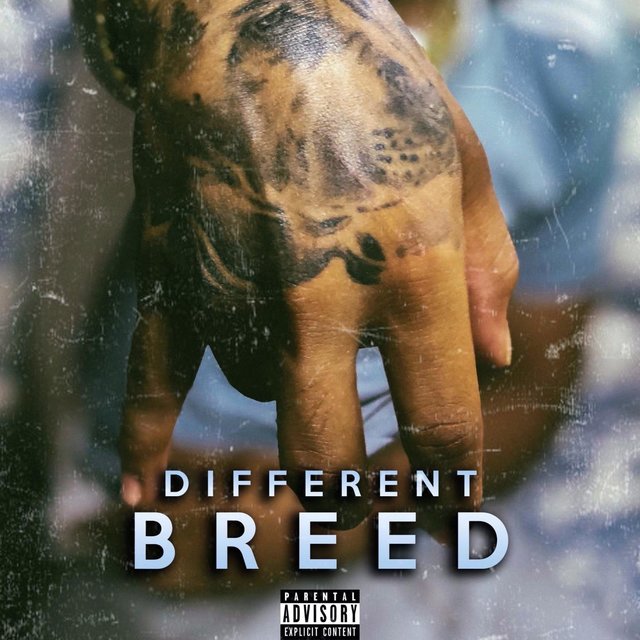Different Breed