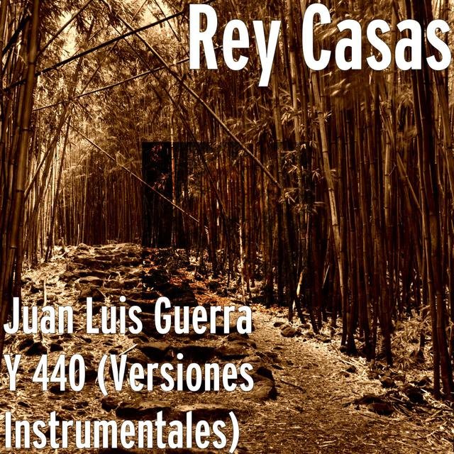 Juan Luis Guerra Y 440 (Versiones Instrumentales)