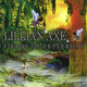 Cover art for album Fields of Yesterday by Lillian Axe