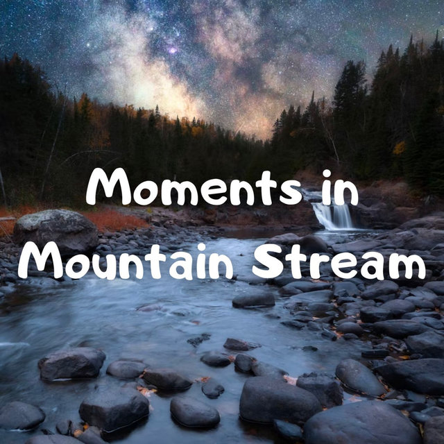 Moments in Mountain Stream