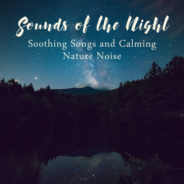 Sounds of the Night – Soothing Songs and Calming Nature Noise, Intense Relaxation, Bedtime, Restful Sleep, Peaceful Dreams