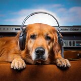 Gentle Snooze Beats