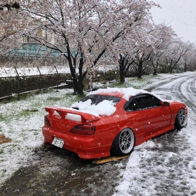 Winter Vibe