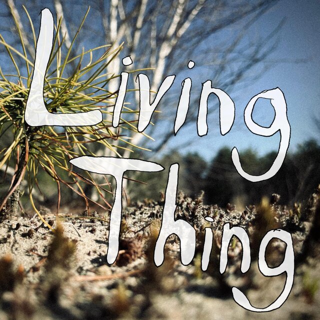 Cover art for album Living Thing EP by Jeremy Yaddaw