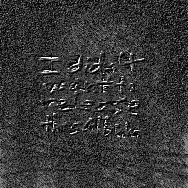 i didn't want to release this album