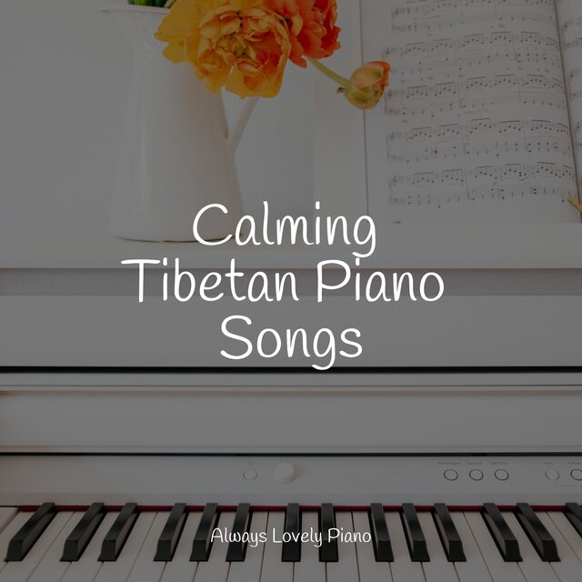 50 Soft and Chill Songs for Training